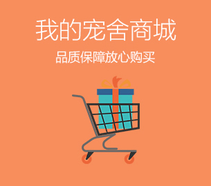 国产MV黄色电影精品 案例：宠舍网建设优化